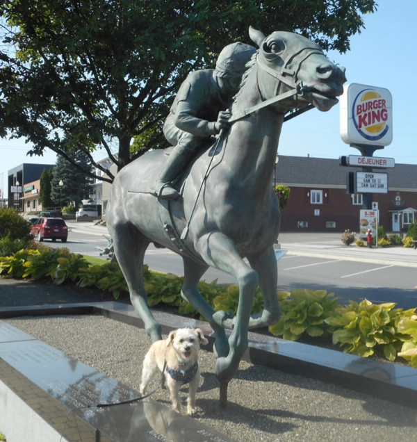 A Doggy Day Trip To Grand Falls NB