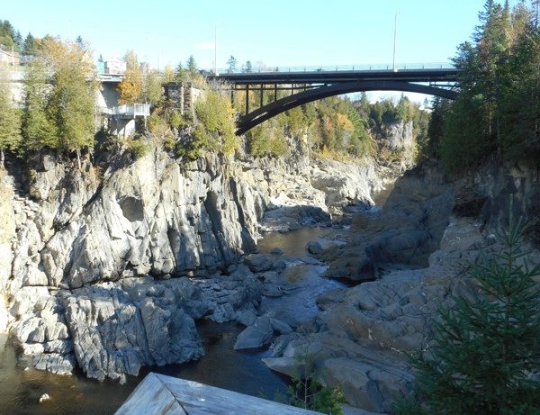 A Doggy Day Trip To Grand Falls NB