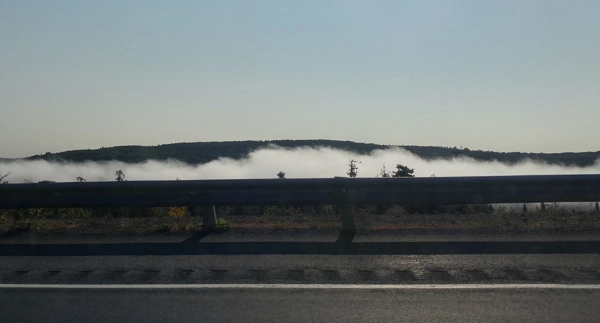 A Doggy Day Trip To Grand Falls NB