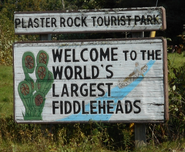 A Doggy Day Trip To Grand Falls NB