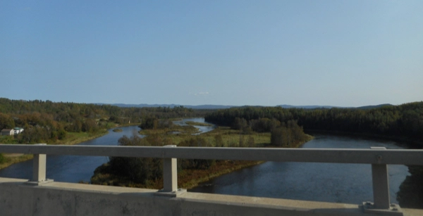 A Doggy Day Trip To Grand Falls NB