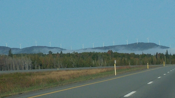 A Doggy Day Trip To Grand Falls NB