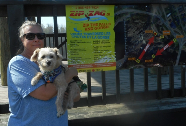 A Doggy Day Trip To Grand Falls NB