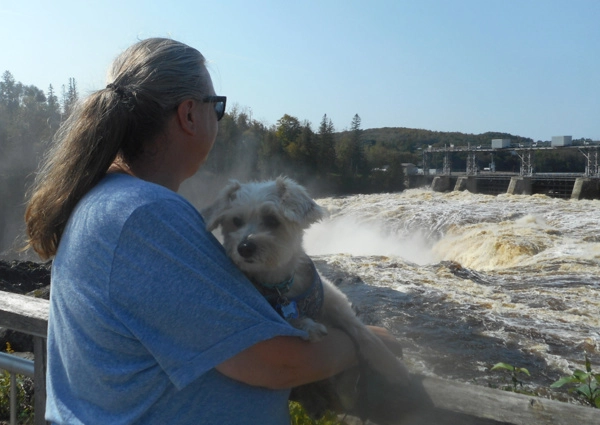 A Doggy Day Trip To Grand Falls NB
