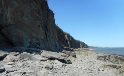 Dog-Friendly Travel Spots In New Brunswick