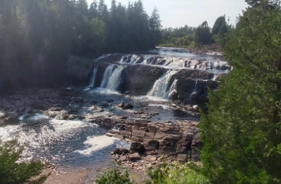Dog-Friendly Travel Spots In New Brunswick