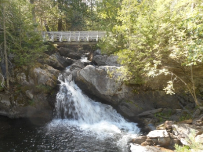 Dog-Friendly Travel Spots In New Brunswick