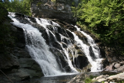 Dog-Friendly Travel Spots In New Brunswick