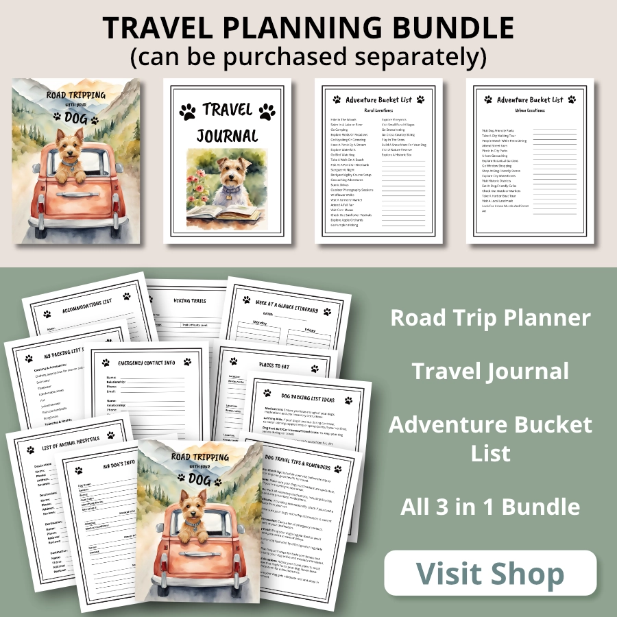 printable travel planner and journal