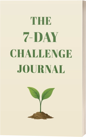 7-day challenge journal book kdp